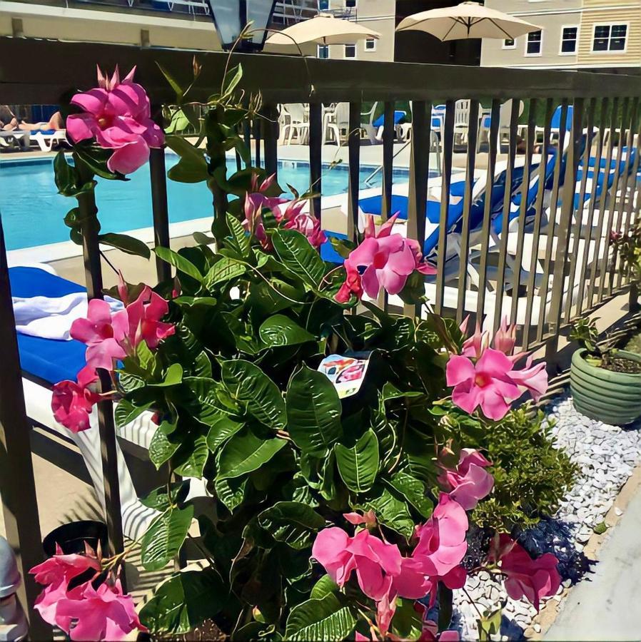 Beach Colony Motel Wildwood Crest Exterior foto